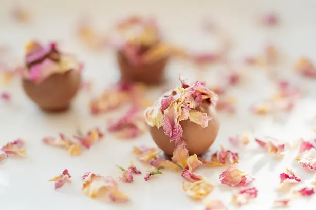 Moon Kazino Android/iOS programa